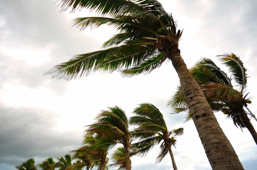 Tourism-Reliant Caribbean Nations Eye Hurricane Beryl Recovery