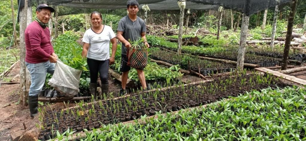 Promoting Sustainable Livelihoods in South America and the Amazon