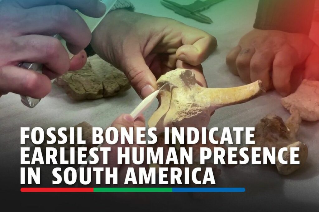 Butchered animal bones indicate earliest human presence in South America - ABS-CBN News