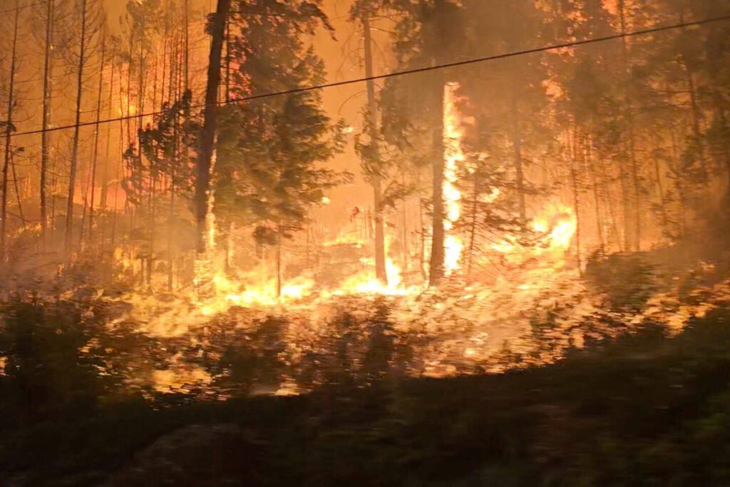 Gigantic fires in Canada, the Amazon and Greece have been amplified by global warming