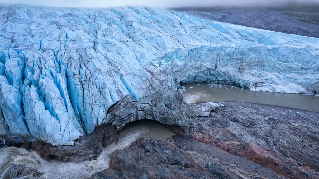 Fossils from Greenland's icy heart reveal it was a green tundra covered in flowers less than 1 million years ago