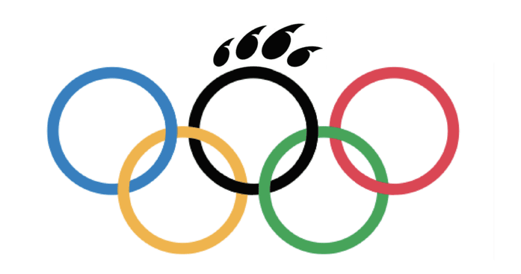 Bearcats in the Olympics | Sports