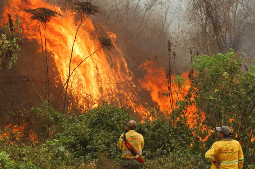 Bolivia grappling with record number of fires - World