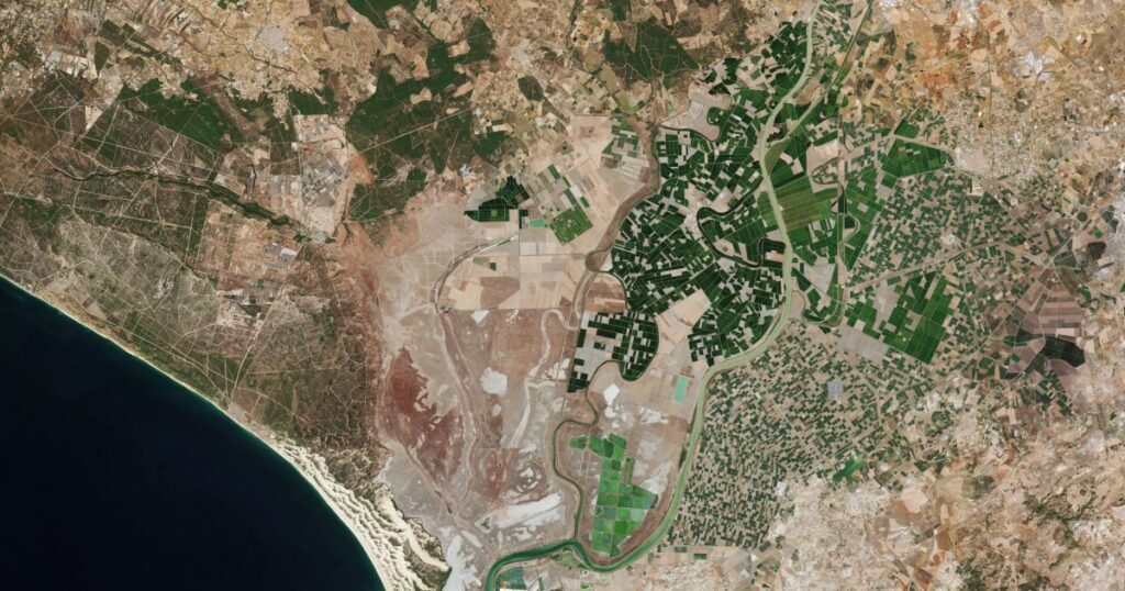 See the first images from Europe's Sentinel-2C satellite