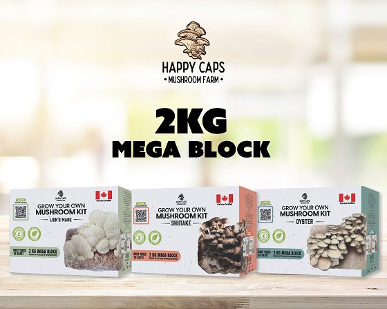 Red Light Holland Announces Expansion of Happy Caps 2kg "Mega Block" Mushroom Home Grow Kits to 82 Costco Stores Across Canada