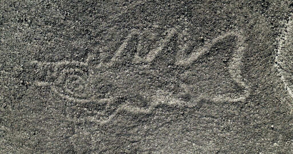 Japan research team newly finds over 300 geoglyphs in Peru's Nazca