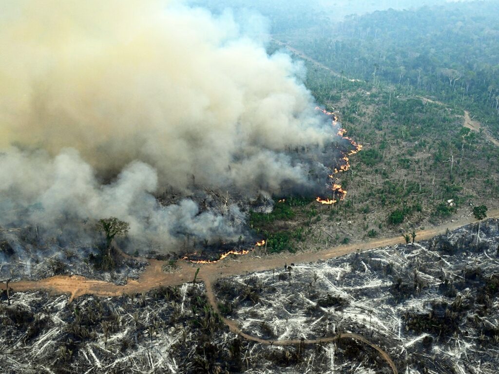 Deforestation, mainly for mining and agricultural purposes, has led to the loss of 12.5 percent of the Amazon