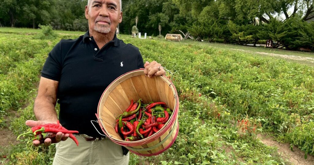 A rare treat getting rarer: Chimayo Red, New Mexico's 'holy chile'