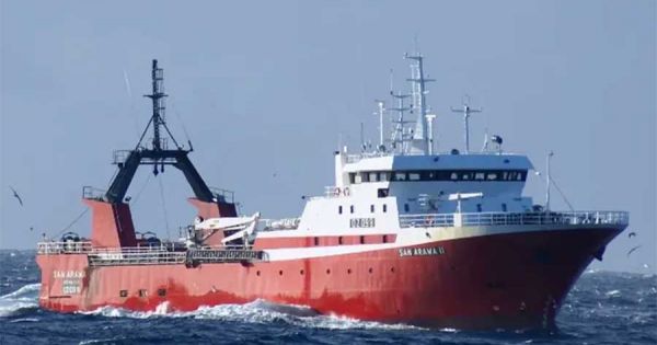 Argentina dispatches a research cruise on Patagonian toothfish — MercoPress