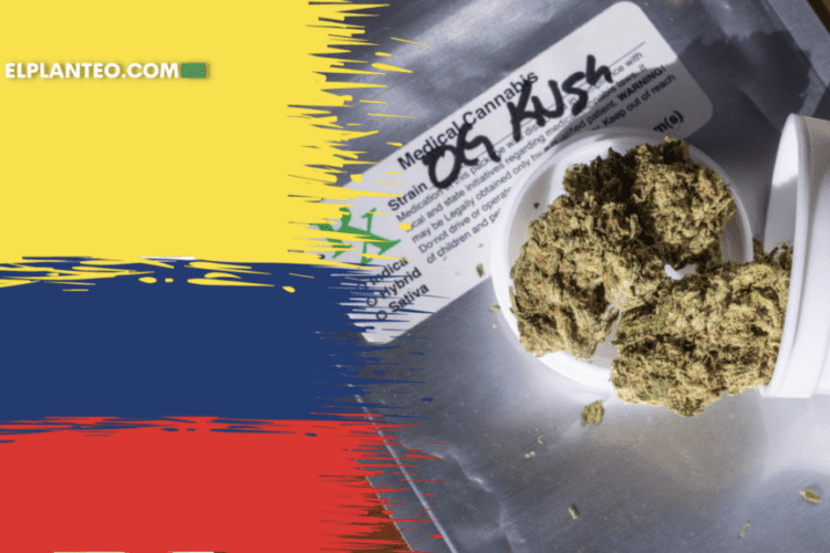 Game-Changer: Colombia To End Ban On Medical Cannabis Flower Sales, Prioritizing Smaller Producers And Patients