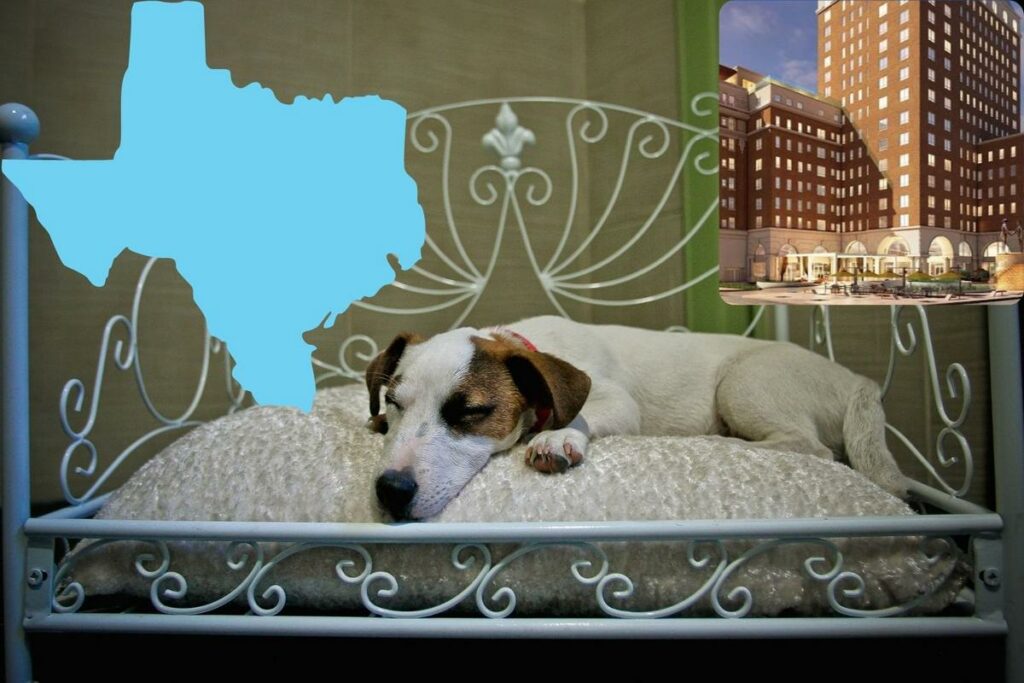 New List Ranks Best Hotels In The USA-Texas Has 20, 1 In El Paso