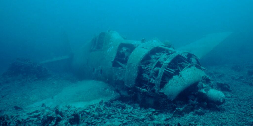 Snorkeler Finds Hidden Chunk of Rocket During Routine Excursion