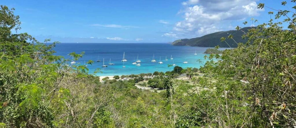 View of foliage and water at Brewers Bay Beach