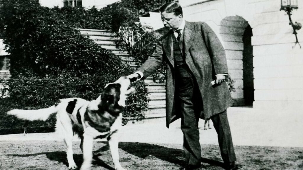 Theodore Roosevelt, the president who served as inspiration for the Teddy Bear – Firstpost