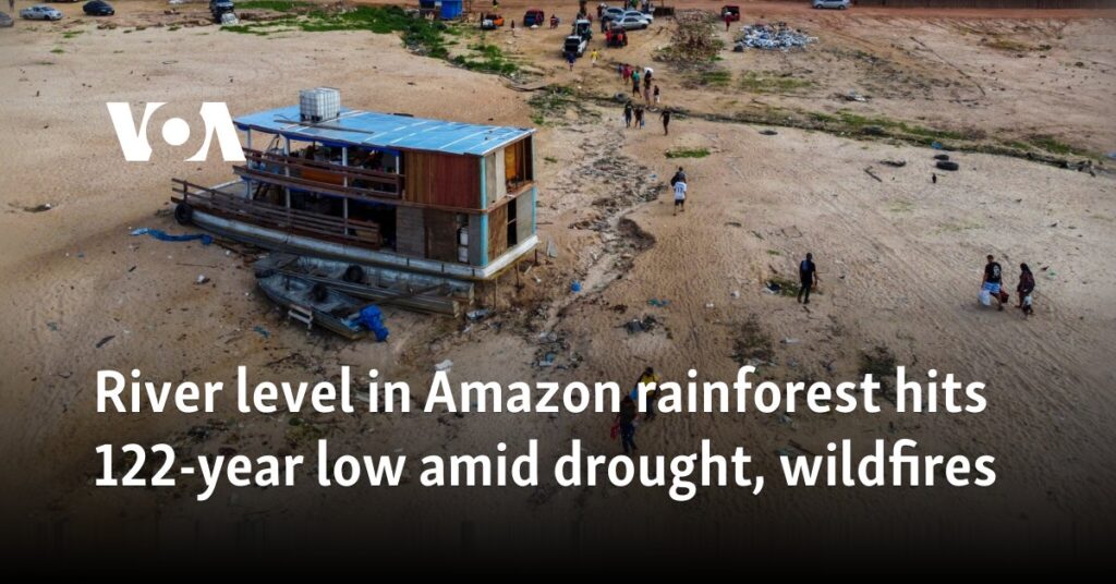 River level in Amazon rainforest hits 122-year low amid drought, wildfires