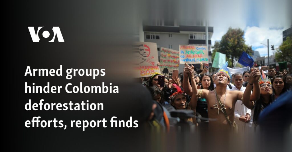 Armed groups hinder Colombia deforestation efforts, report finds