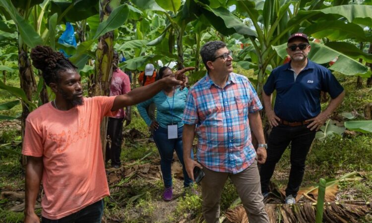 Prime Minister Gonsalves lays out true cost of Sustainable Agriculture at CWA Opening in St Vincent & the Grenadines – Magnetic Media