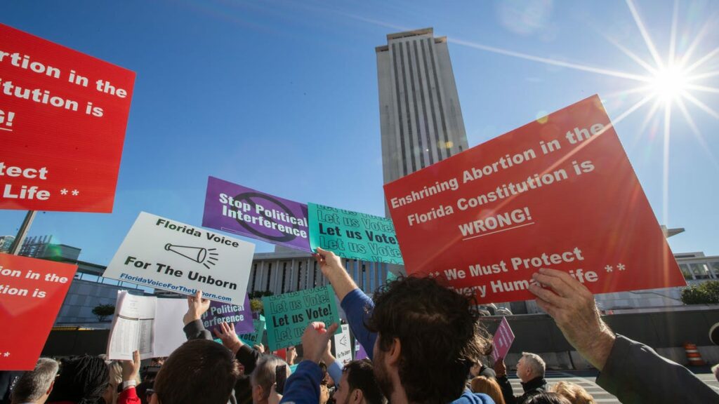 Abortion Amendment 4 to Florida Constitution worries doctors, patients