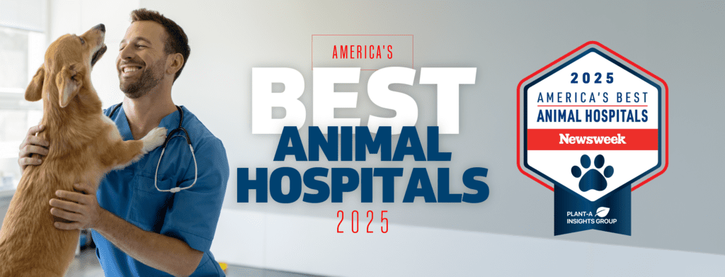 America's Best Animal Hospitals 2025