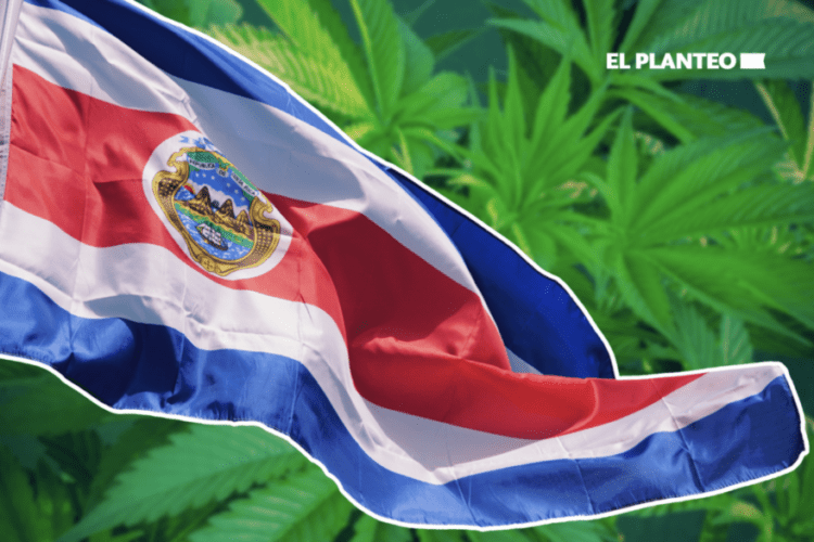 Costa Rican Pharmacies Set To Sell Cannabis In 2025: What To Expect