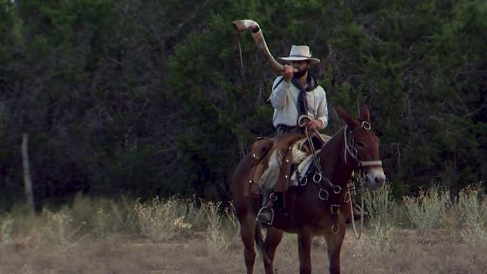 Cowboy embarks on two-year mule trek from Texas to Brazil, hopes to raise awareness