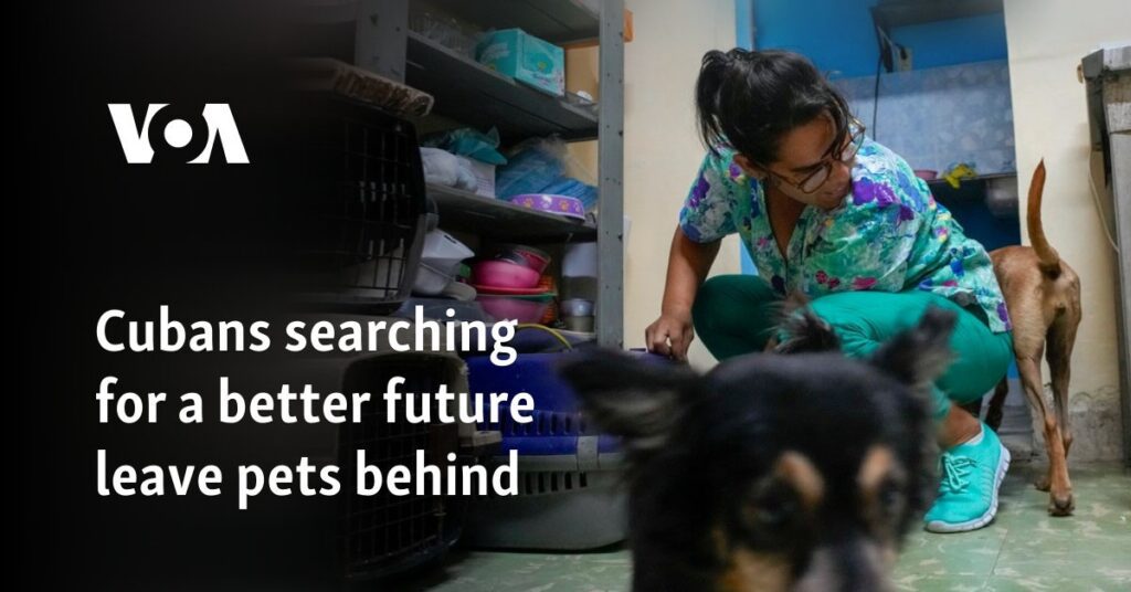 Cubans searching for a better future leave pets behind