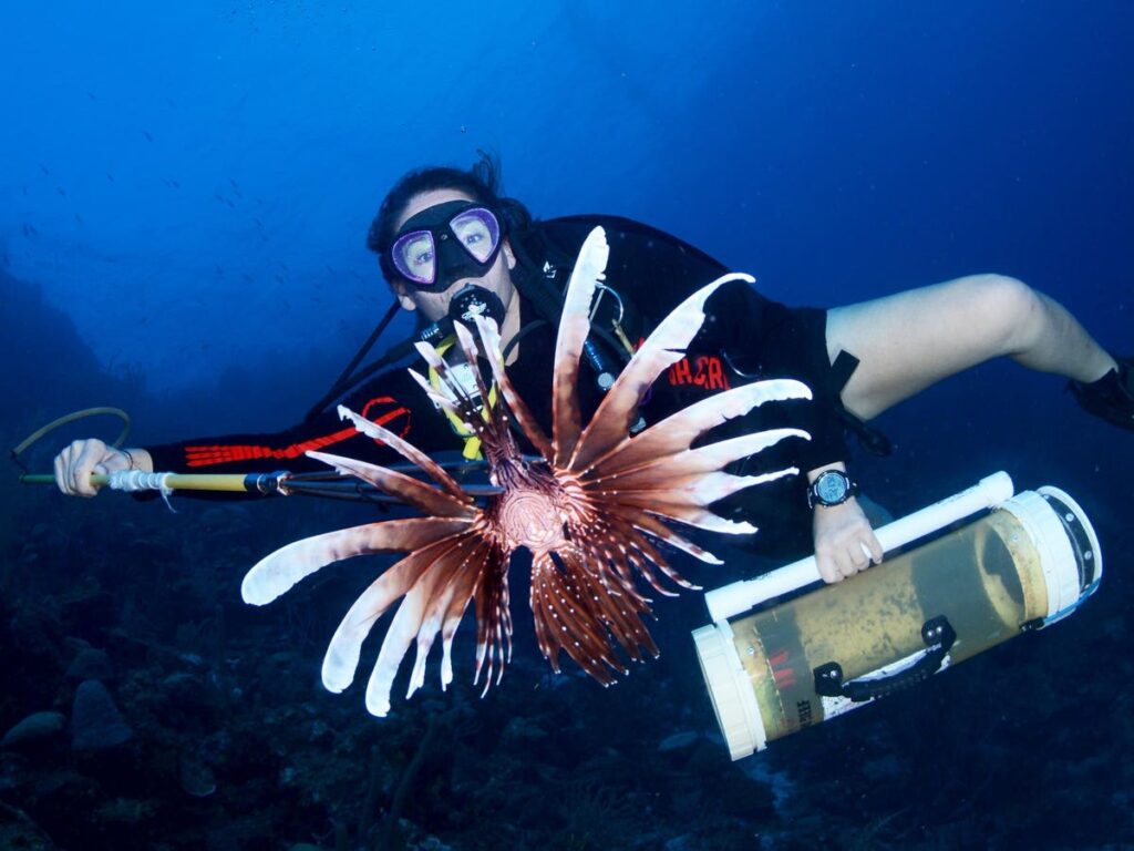 Curaçao Hunts For Sustainability In The Caribbean—And A Lionfish Or Two