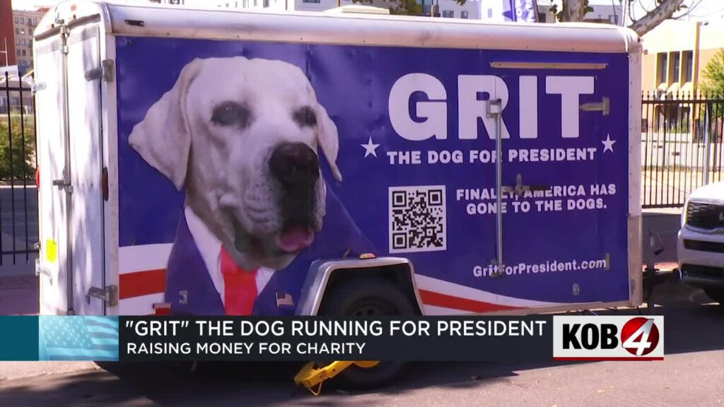 Grit launches 'America Has Gone to the Dogs' presidential campaign