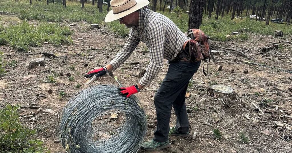 Group claims ownership over 1,400 acres of Colorado forest, sparking outrage | Western Colorado