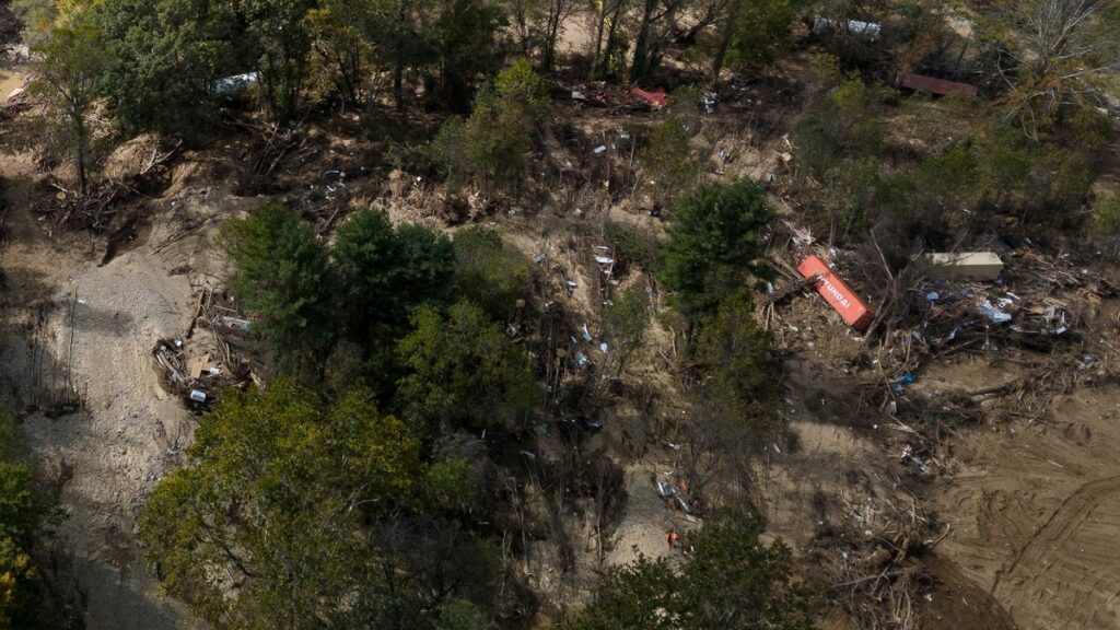 How Helene caused decades of damage to nature in Western NC