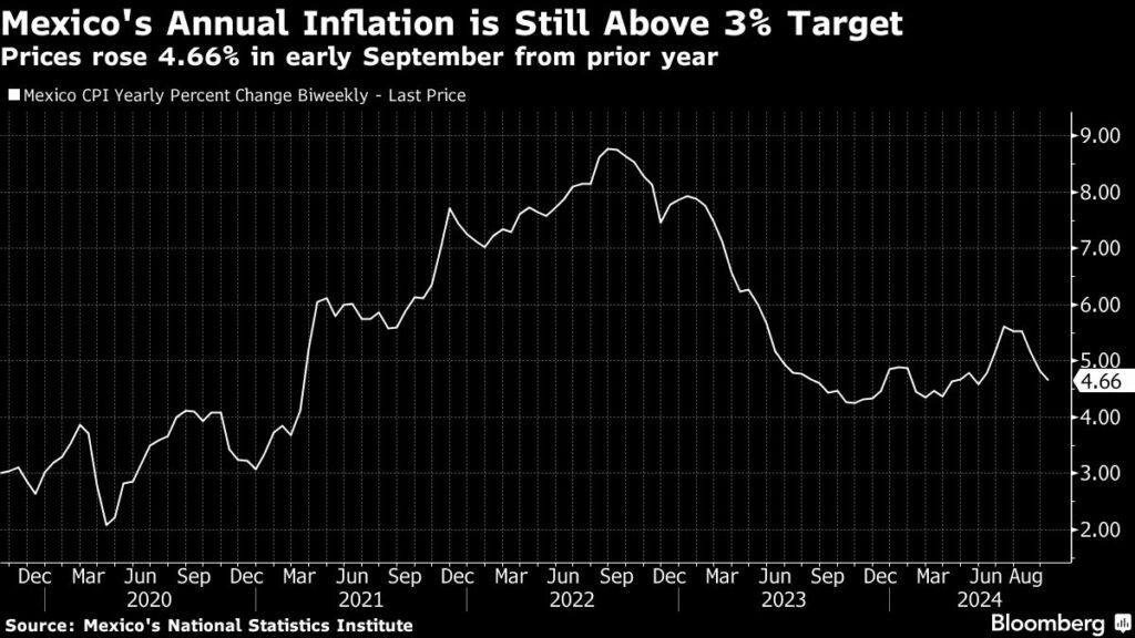 Mexico’s Sheinbaum Plans 12% Minimum Wage Hike for Coming Years