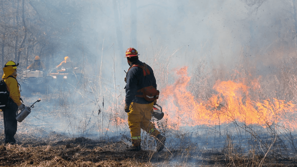 New Arkansas Prescribed Burn Association to help habitat enhancement in the state