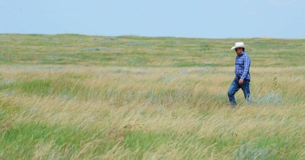 North American grasslands, sagebrush targeted for protection, investments