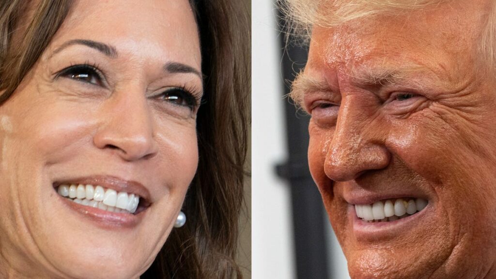 Obstacles facing Trump and Harris