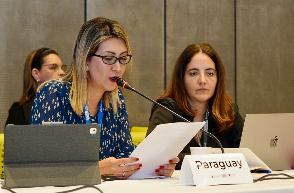 Paraguay oficializó candidatura para ser sede de la próxima Reunión Ministerial sobre Gobernanza de la OCDE | Locales