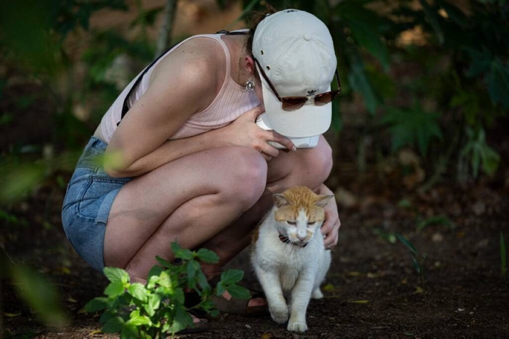 CUTE CREATURE A woman pets a stray cat in the historic district of Old San Juan in Puerto Rico on April 3, 2024. AFP FILE PHOTO