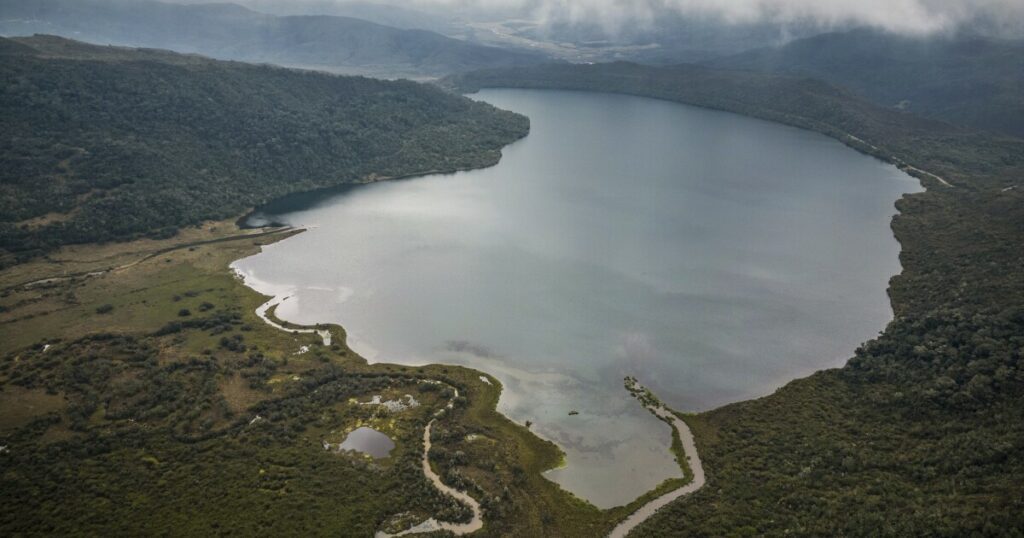 To save nature, world leaders aim to turn words into action at biodiversity summit