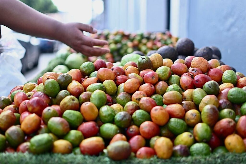 Los beneficios del jocote, el tesoro tropical de sabor que se produce en Guatemala