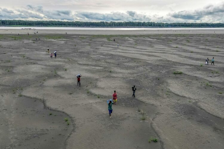 Record Drought In Amazon Impacts 420,000 Children: UNICEF