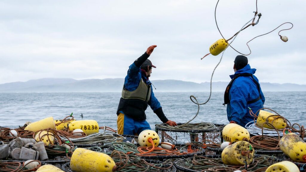 Crabbing season in California is delayed, halting holiday traditions