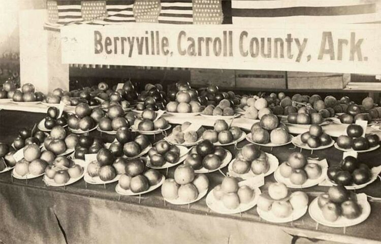 ARKANSAS A-Z: Apple industry rose, fell in northwestern part of the state