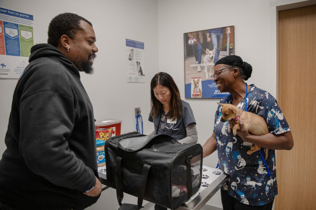 Colorado creates new veterinary position