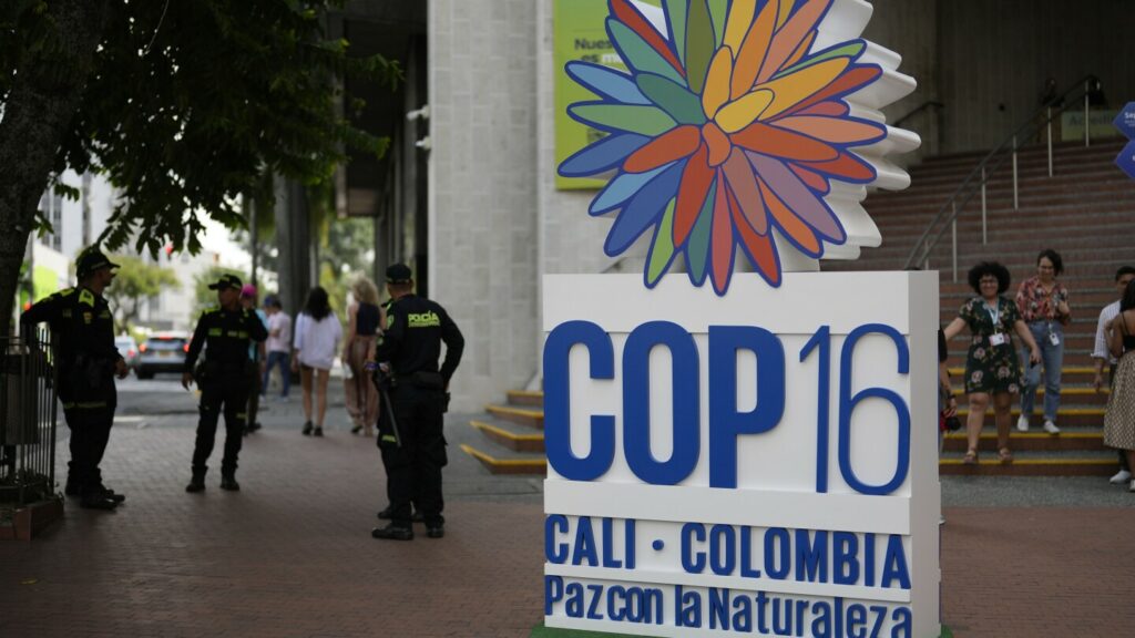 Negotiations stall over some crucial issues on final day of UN biodiversity summit in Colombia