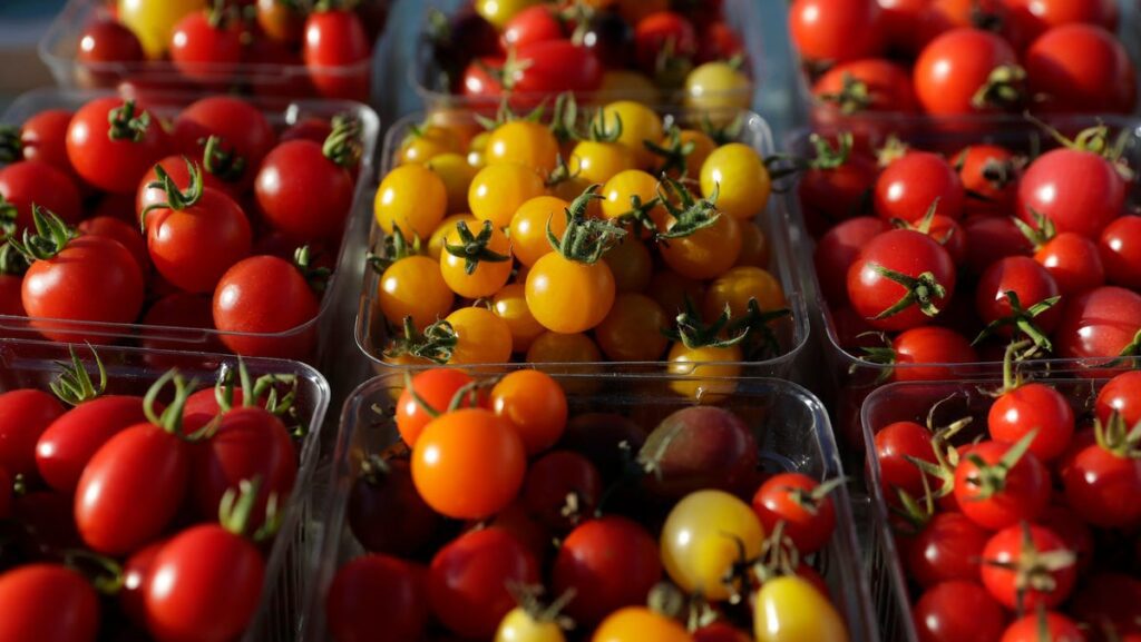 Proposed Trump tariffs could hit Arizona imports like tomatoes, wiring