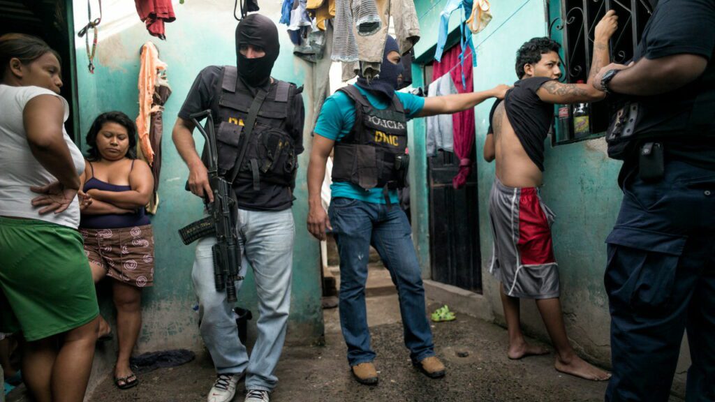 The world is losing the fight against international gangs