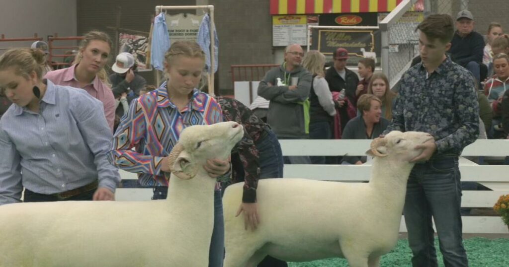 Thousands flock to Louisville for 51st North American International Livestock Exposition