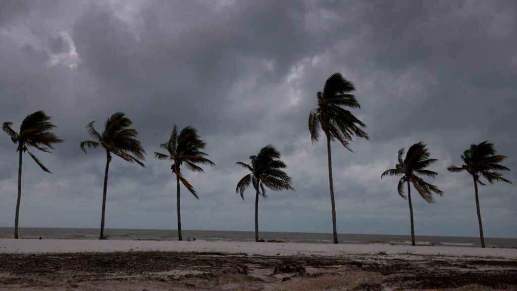 What To Know About Tropical Storm Sara