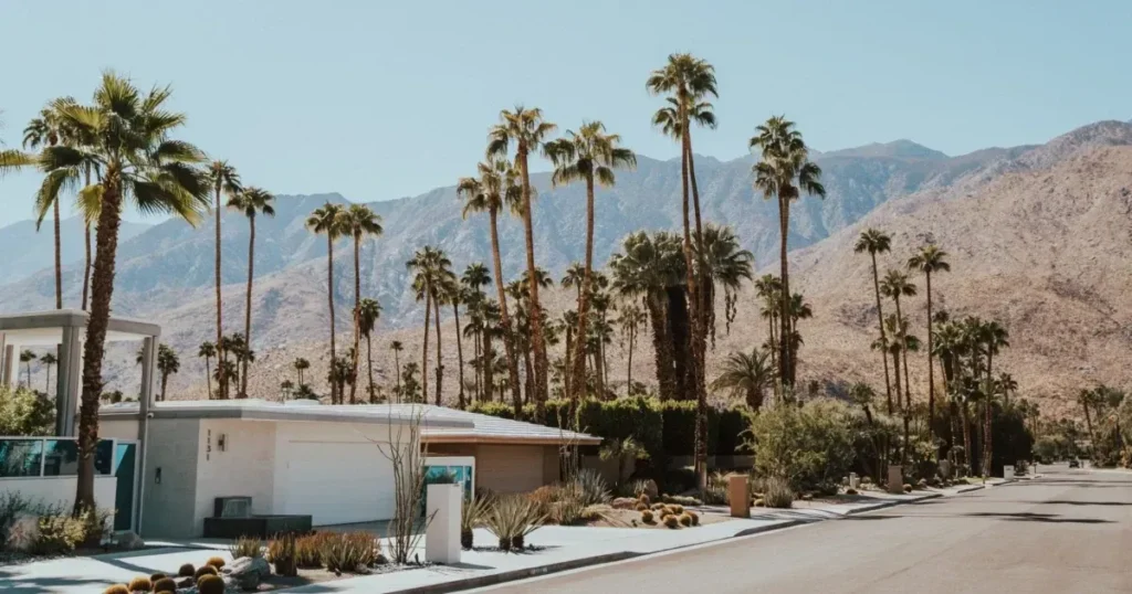 12 Reasons You Need To Visit Palm Springs