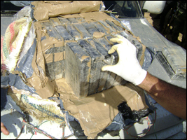 Some of the cocaine air dropped in the Dominican Republic seized trough out the investigation