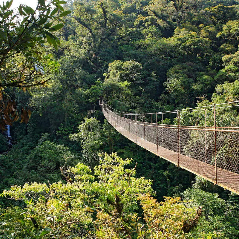 View OF A Footbridge In Boquete, Tropical Jungle In Panama, Central America